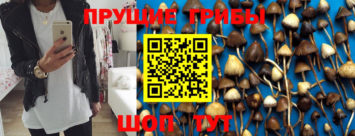 Галлюциногенные грибы Magic Shrooms Выкса